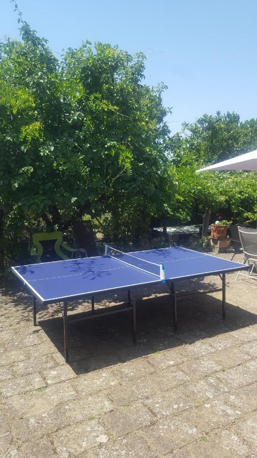 Casale Citerno Διαμέρισμα Μπολσένα Εξωτερικό φωτογραφία