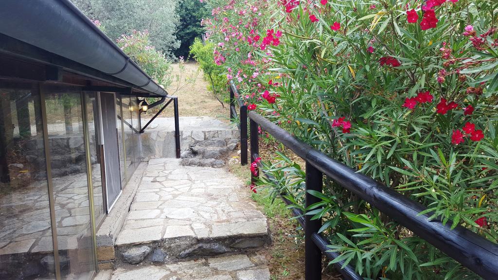 Casale Citerno Διαμέρισμα Μπολσένα Εξωτερικό φωτογραφία
