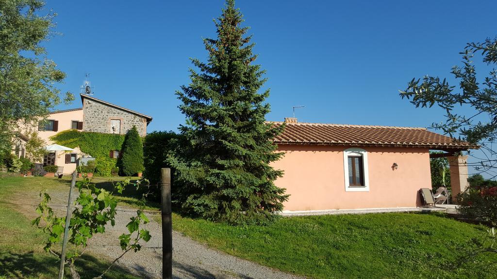 Casale Citerno Διαμέρισμα Μπολσένα Εξωτερικό φωτογραφία